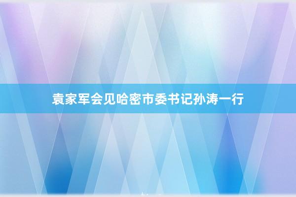 袁家军会见哈密市委书记孙涛一行