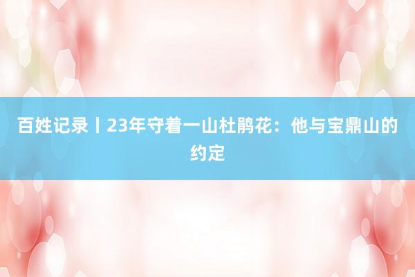 百姓记录丨23年守着一山杜鹃花：他与宝鼎山的约定